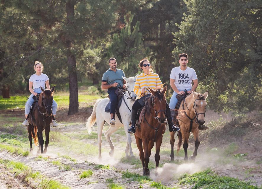 Beach Horseback Riding in Group + Photo Report - Itinerary