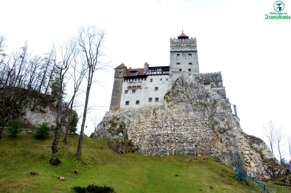 Bear Sanctuary & Bran Castle & Airport OTP From Brasov - Itinerary Highlights