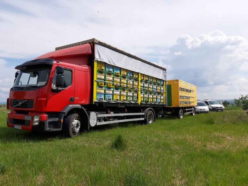 Bees in Romania - Private Beekeeping Lesson and Local Lunch - Transportation and Pickup