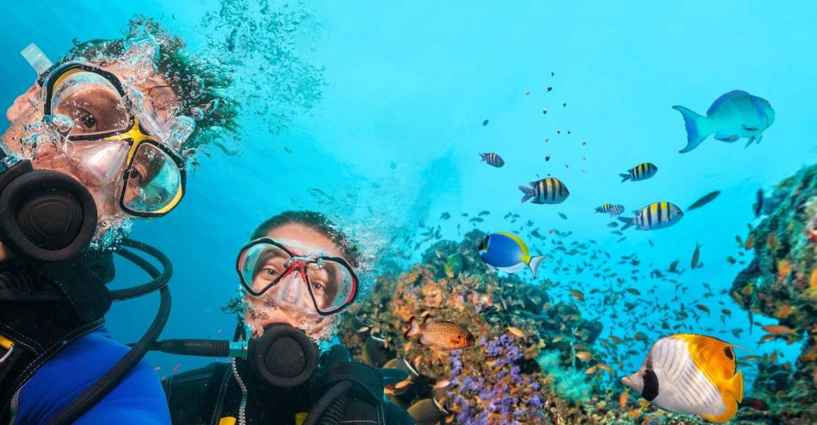 Belek: Scuba Diving in the Mediterranean Sea - Pricing and Booking