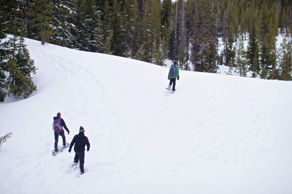 Bend: Half-Day Shoes, Brews, and Views Tour - Experience Highlights