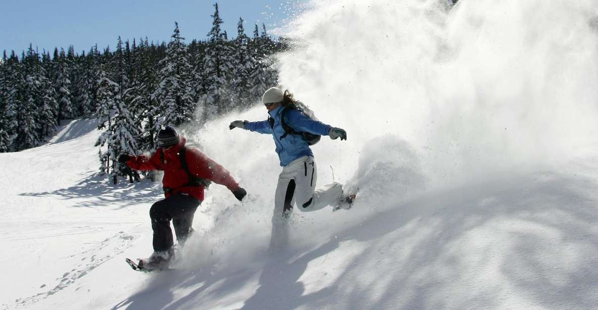 Bend: Half-Day Snowshoe Tour in the Cascade Mountain Range - Activity and Duration