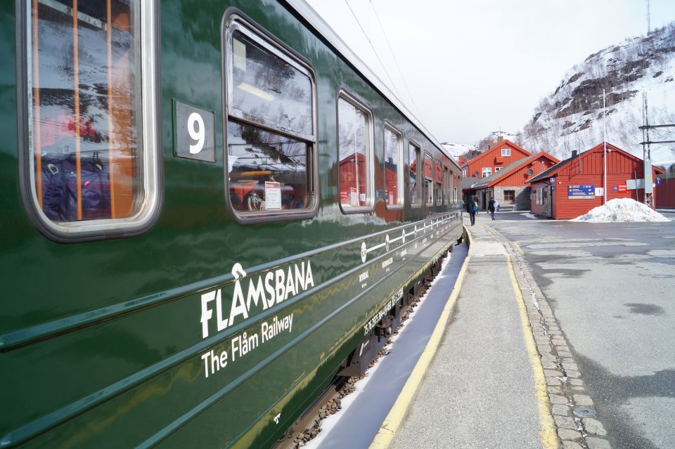 Bergen: Guided Day Tour, Nærøyfjord Cruise and Flåm Railway - Itinerary Highlights