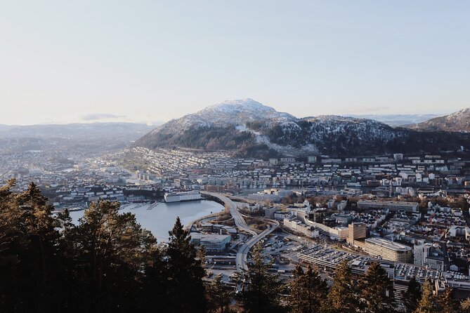 Bergen Like a Local: Customized Private Tour - Pricing and Availability Options