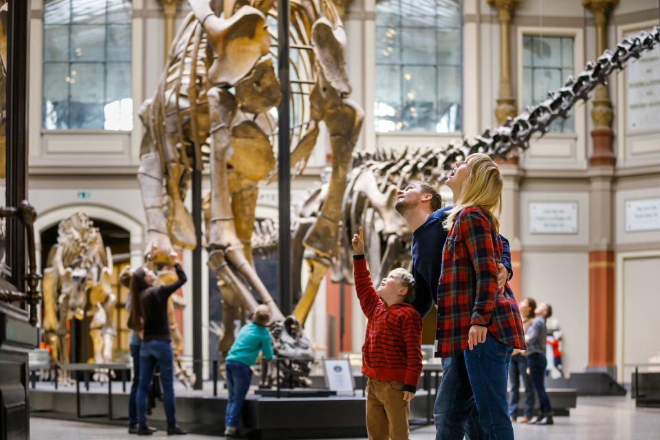 Berlin: Natural History Museum Entrance Ticket - Key Exhibits to Explore