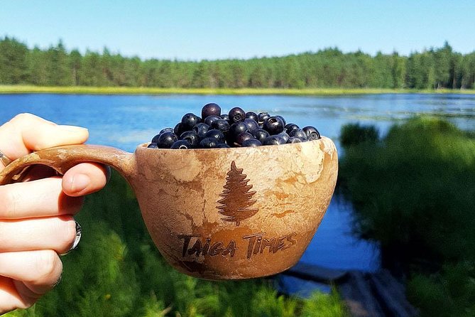 Berry Picking in a National Park - Foraging for Wild Finnish Foods