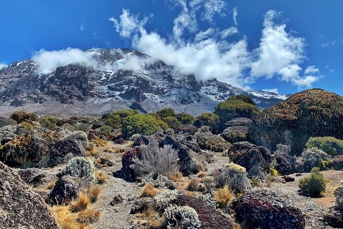 Best 6 Days Kilimanjaro Climbing via Marangu Route  &2025 - Meeting and Pickup Information