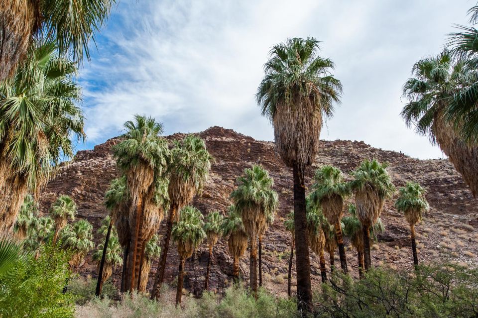 Best of Palm Springs Small Group Tour W/ Aerial Tram - Discover Natural Beauty