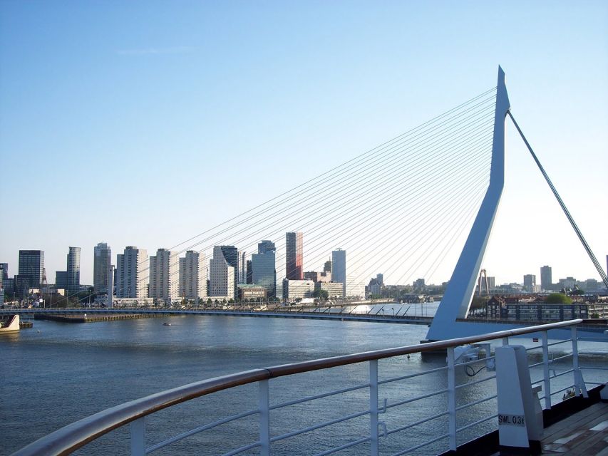 Best of Rotterdam: Small-Group Walking Tour - Experience Highlights