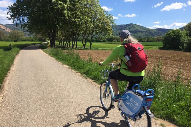 Bicycle Tour From Heidelberg to Quaint Ladenburg. - Pickup and Drop-off