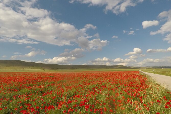 Bike Tour in the Alta Murgia National Park (Pulo of Altamura) - Activity Details