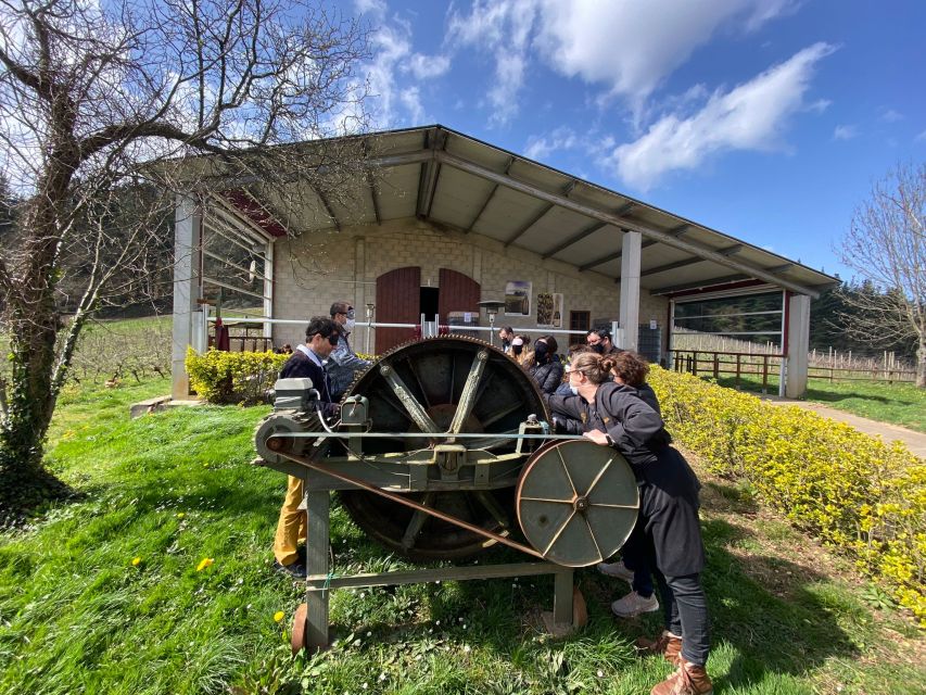 Bilbao: Guided Txacoli Wine Tasting - Booking Information