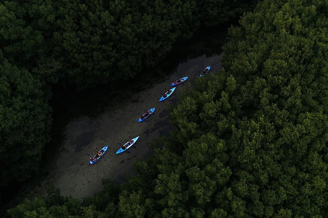 Bioluminescent Bay Kayak Adventure Tour From San Juan - Inclusions