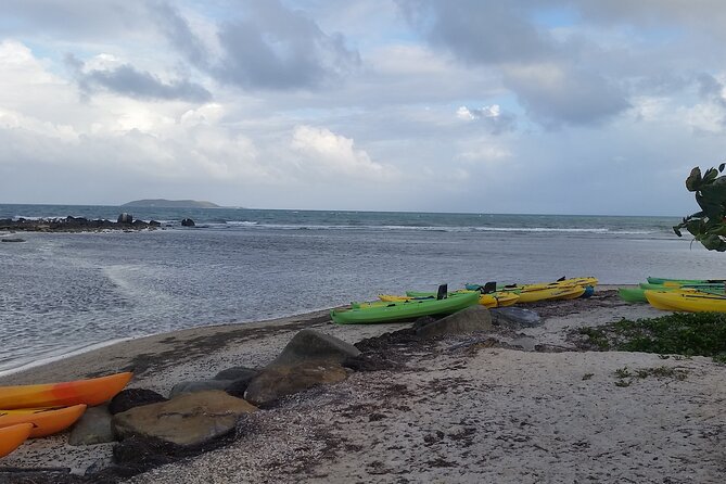 Bioluminescent Bay Night Kayak Experience - Included in the Tour