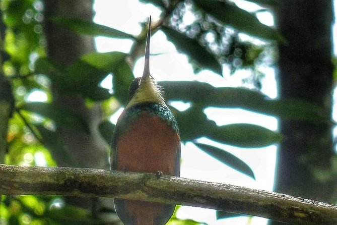 Birdwatching, Waterfall, Rainforest and Island Nature Tours - Physical Fitness Requirements