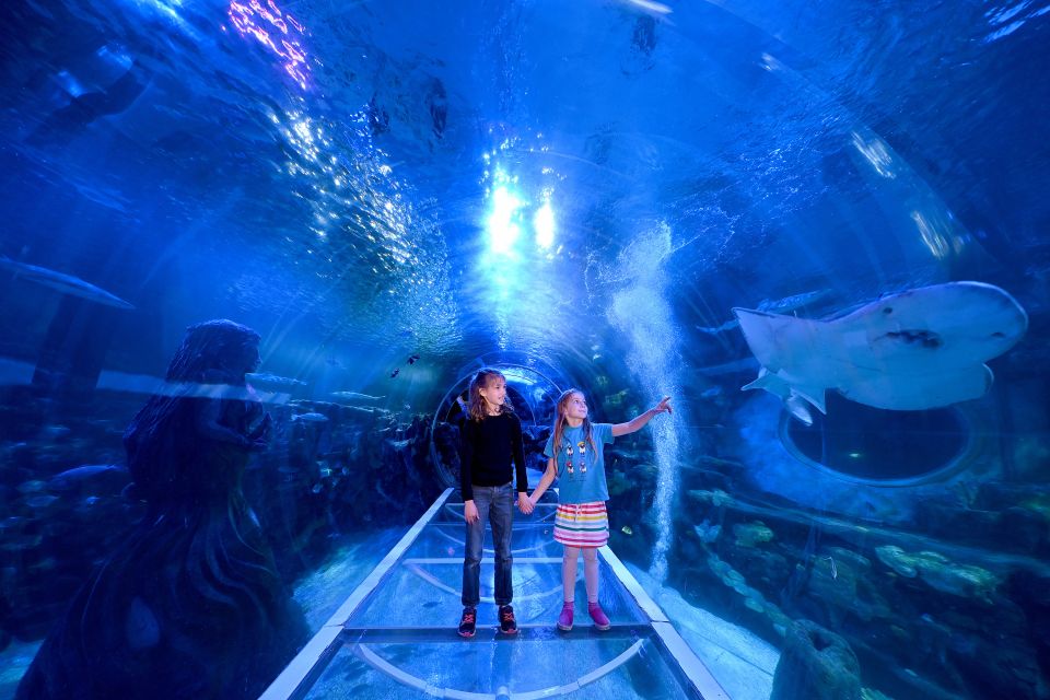 Birmingham: National Sea Life Centre Entrance Ticket - Ticket Details