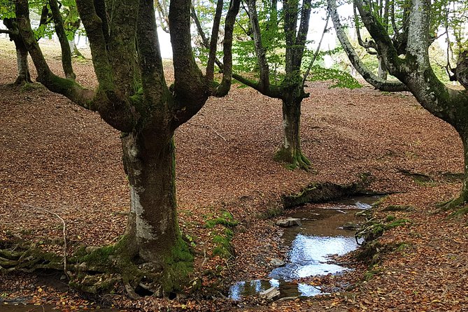 Bizkaia, Duranguesado Route. Beautiful Villages and Mountain Landscapes. - Tour Details