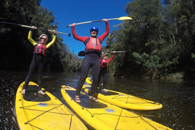 Blackwater Tubing Green Route Forest Adventure - Tour Features