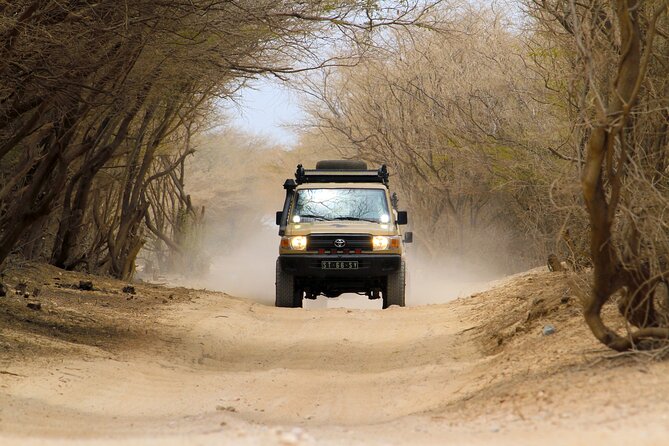 Boa Vista: 4h North Jeep Expedition Off-Road - Included in the Experience