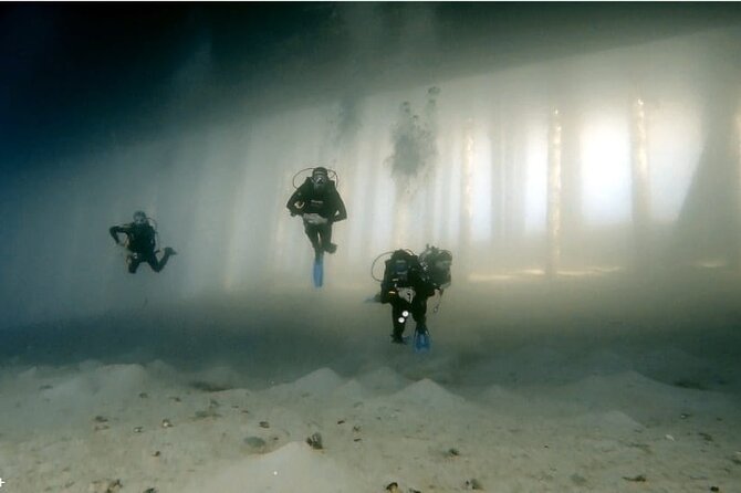 Boat Dive 2 Guided Dives With Lunch Included Wreck Dive&Reef Dive - Inclusion and Exclusion