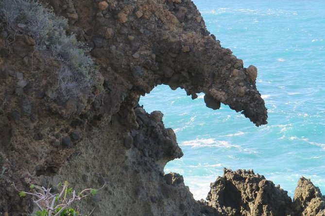 Boat Excursion to Visit Underwater Lava Tongues - Meeting Point Details