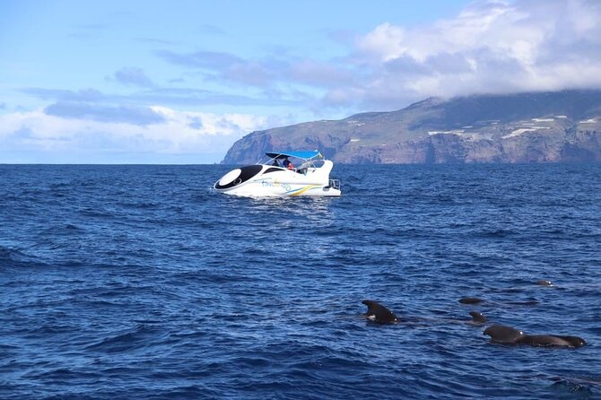 Boat Trip Along the Northwest Coast of La Palma - Trip Schedule