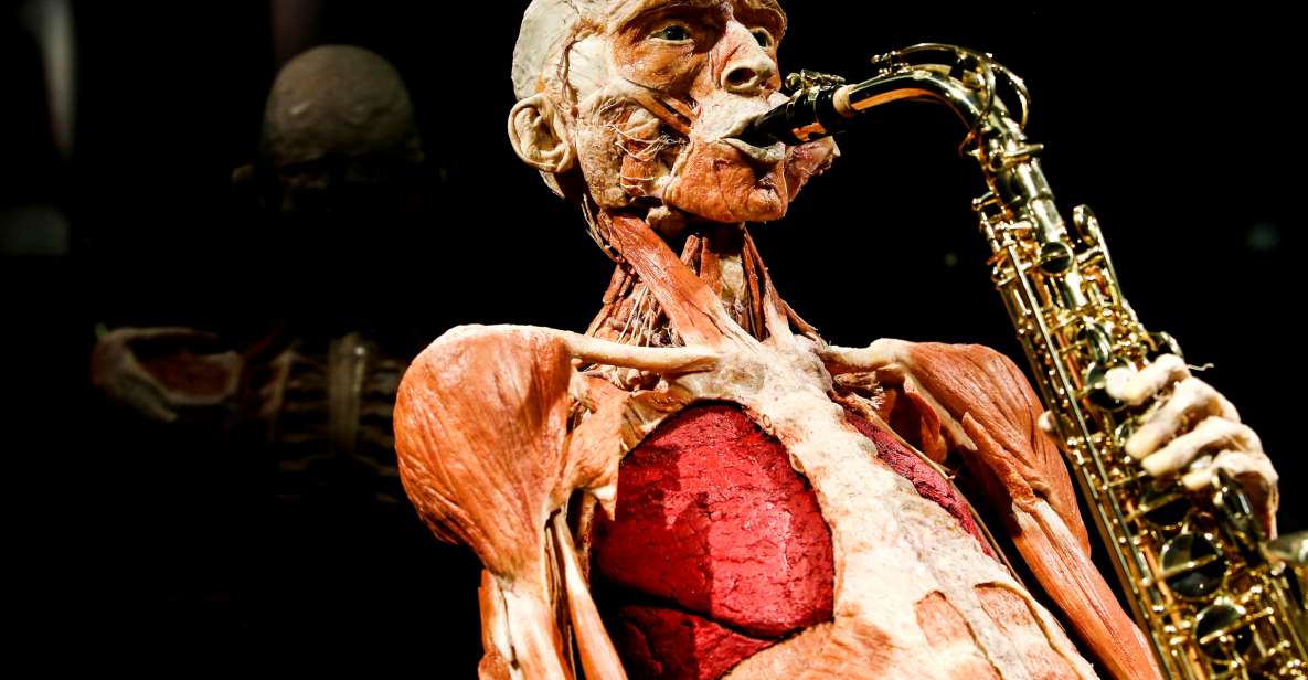 Body Worlds Amsterdam: The Happiness Project Ticket - Exhibition Highlights