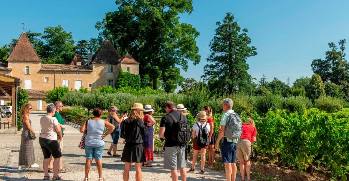 Bordeaux: Vineyards Wine Tasting Half-Day Trip - Discovering the Underground Church in Saint-Emilion