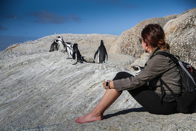 Boulders Beach Cape Town: Swimming With Penguin & Close Encounter Half Day Tour - Customer Experiences