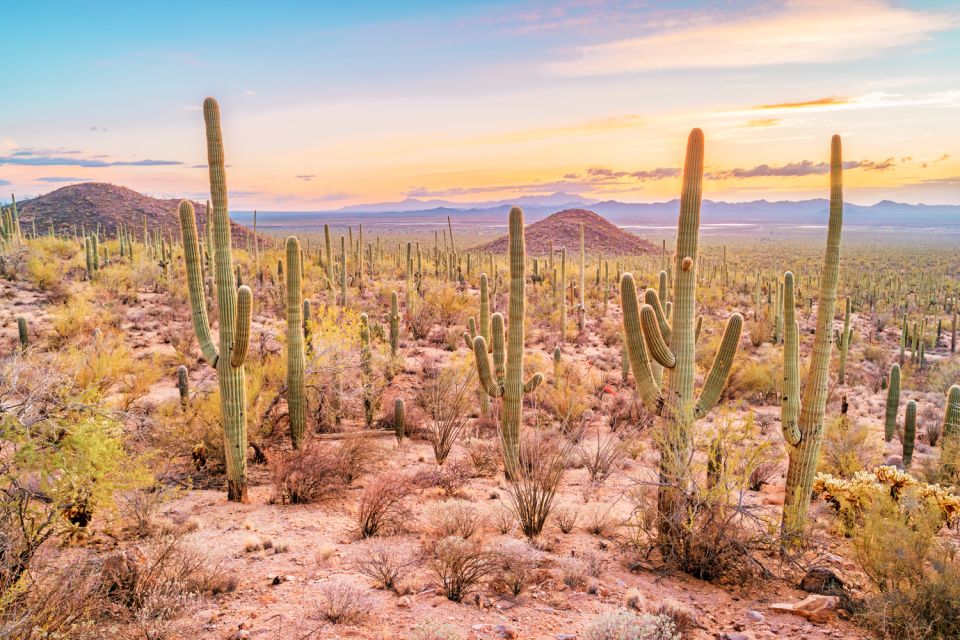 Box Canyon and Pinal Mountains Half-Day ATV Tour - Inclusions and Exclusions