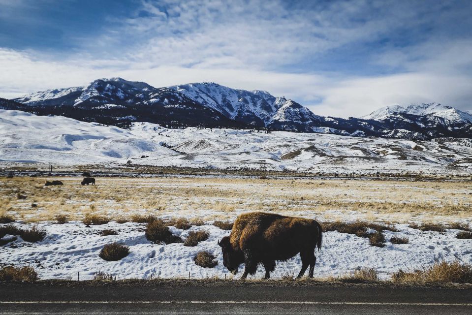 Bozeman: 6 Day Yellowstone Winter Wonderland Tour - Itinerary Breakdown