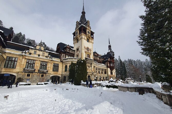 Bran Castle, Peles Castle and Brasov City - Private Tour From Bucharest - Included Services