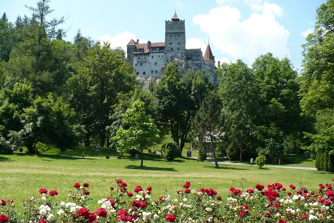 Bran Castle With Optional Bear Sanctuary From Brasov - Inclusions and Transportation