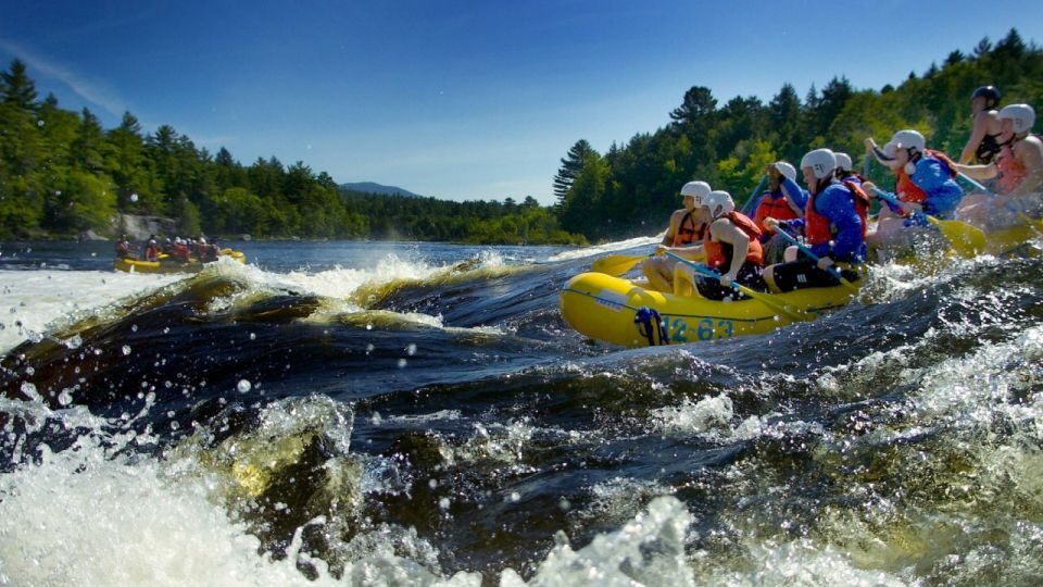 Brasov: Wild Water Rafting Day Trip - Booking and Payment