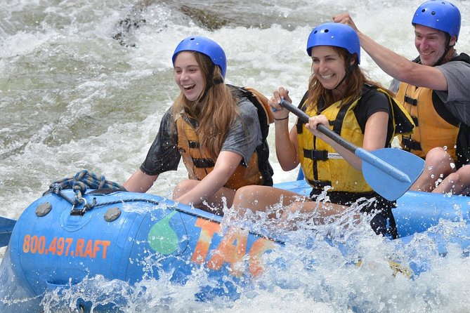 Browns Canyon Intermediate Rafting Trip Half Day - Inclusions and Options