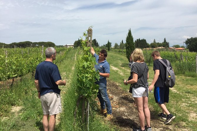 Brunello Di Montalcino, Small Biodynamic Wineries - Tuscan Lunch Menu