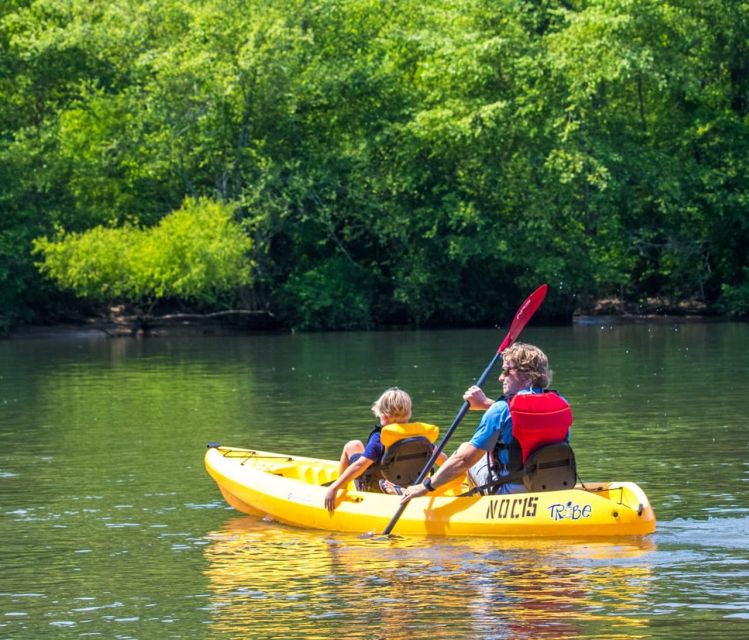 Bryson City: Fontana Lake Guided Kayak Tour - Experience and Highlights