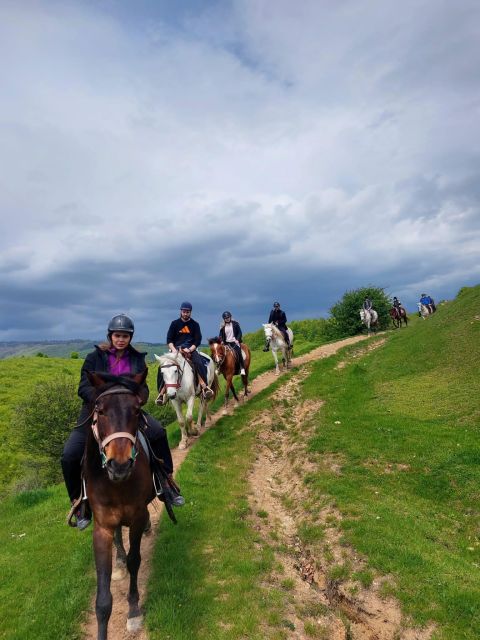 Bucharest: Horseback In the Nature and Traditional Lunch - Itinerary and Schedule