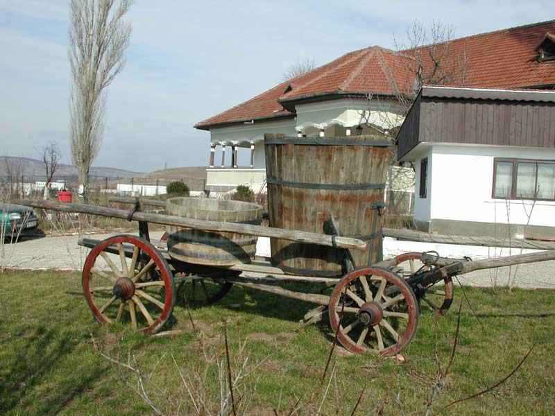 Bucharest: Slanic Salt Mines and Wine Tasting Tour - Itinerary and Highlights