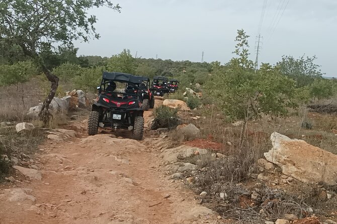 Buggy Adventure - 2 Hours Off-Road Guided Tour From Albufeira - Participant Requirements