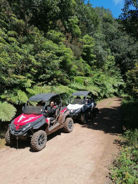 Buggy Off-Road Madeira - Highlights