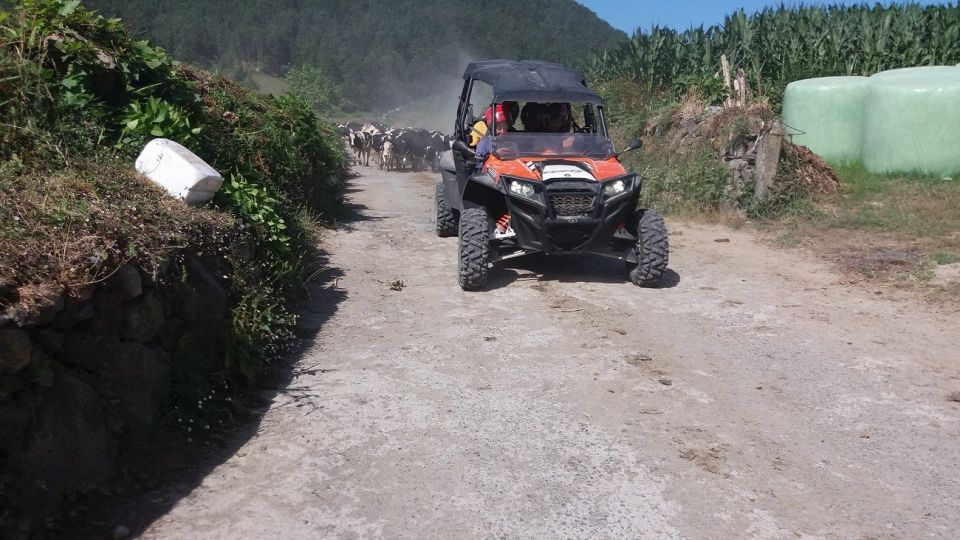 Buggy|Quad|Jeep Coast to Coast Tour (Ribeira Grande) off 4x4 - Highlights