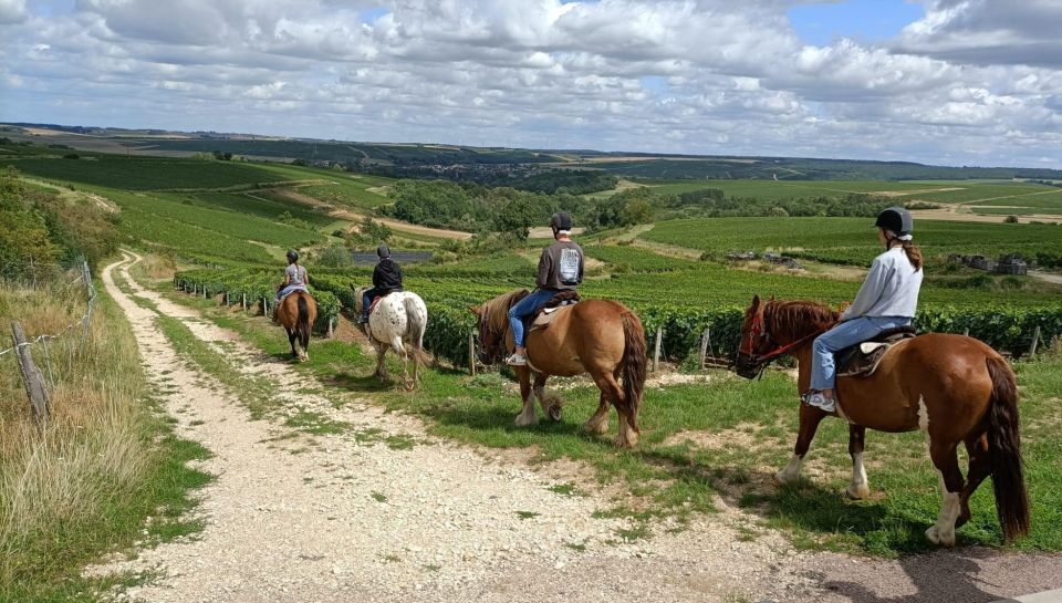 Burgundy: Horse Riding Tour in Chablis - Duration and Group Size