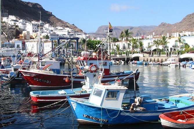 Bus to the Local Market of Puerto De Mogan - Accessibility and Mobility