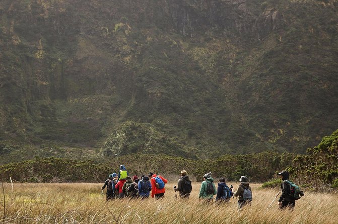 Caldeira Do Faial Descent - Private Hiking Tour - Inclusions