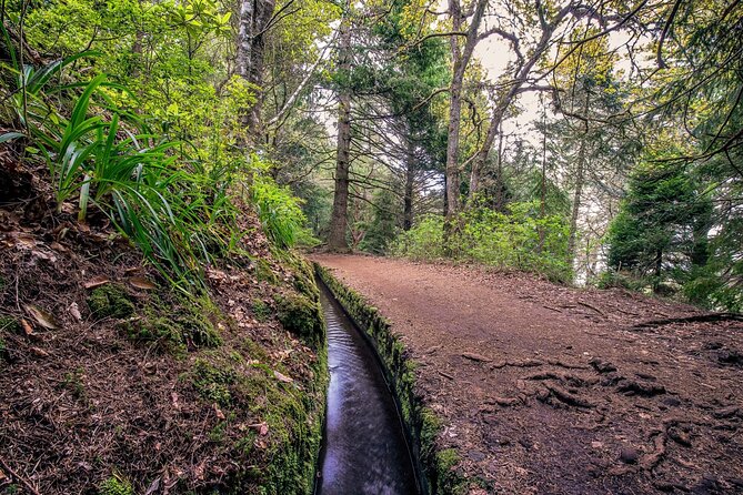 Calderão Verde Levadas Walk in Madeira - Exploring the Stunning Madeira Landscape