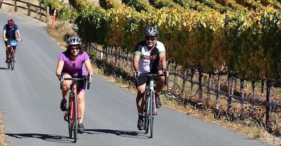 Calistoga: Napa Valley Cycling and Winery Tour With Picnic - Cycling Through Calistoga