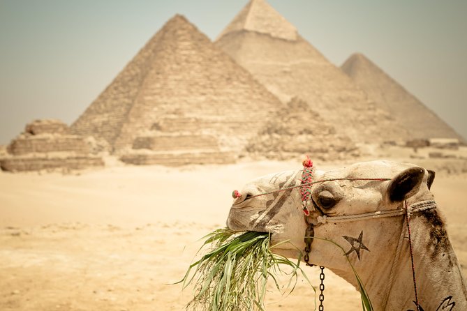 Camel Ride Around the Pyramids During Sunrise or Sunset - Meeting and Pickup Logistics