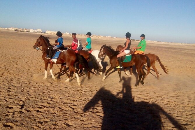 Camel Ride & Bedouin Dinner Quad Safari in Sharm El Sheikh - Inclusions & Exclusions