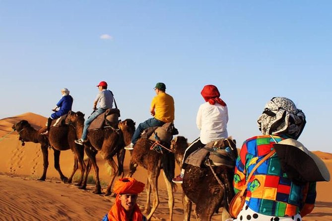 Camel Ride Experience - Inclusions